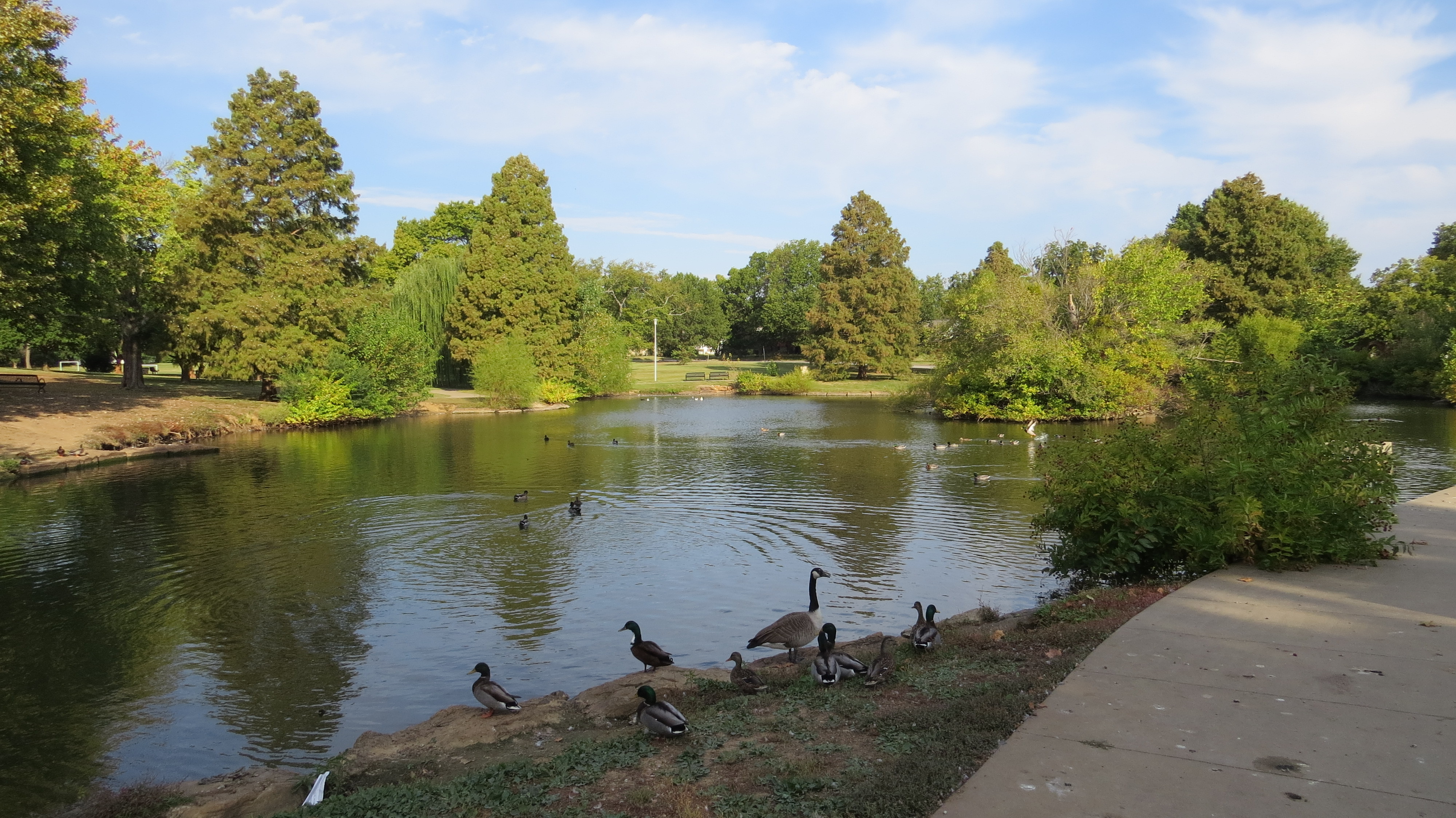 Image from Braden Park taken on Thursday 16th of October 2025